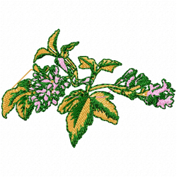 Flowers Embroidery Design 2 Flowers Embroidery Design 2